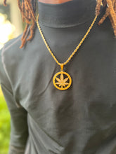 Load image into Gallery viewer, Coin Weed Necklace
