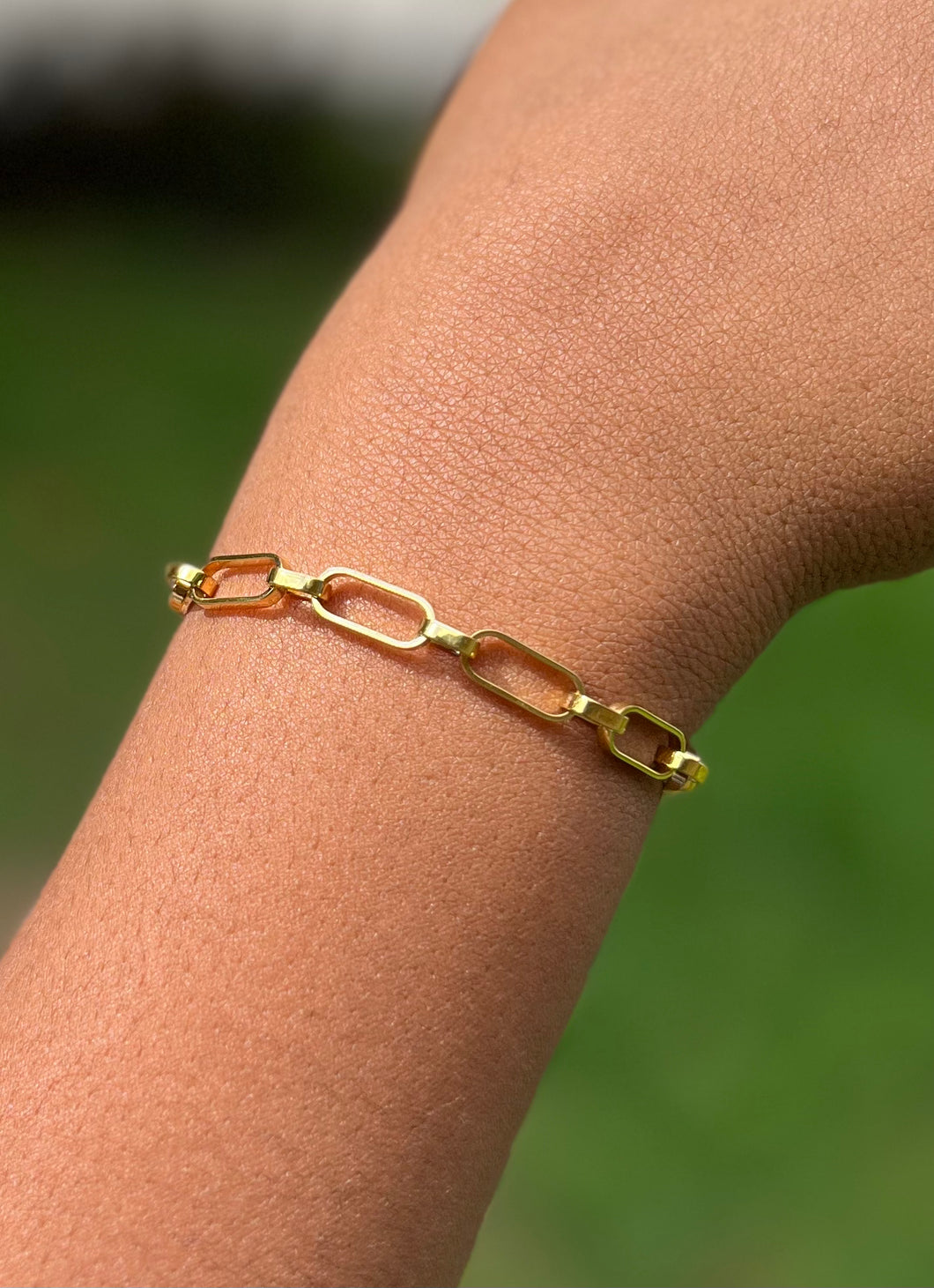 Double Link Bracelet